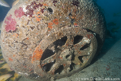 Consolidated Catalina PBY-5A Wheel